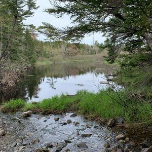 Meet your Posher, Andy